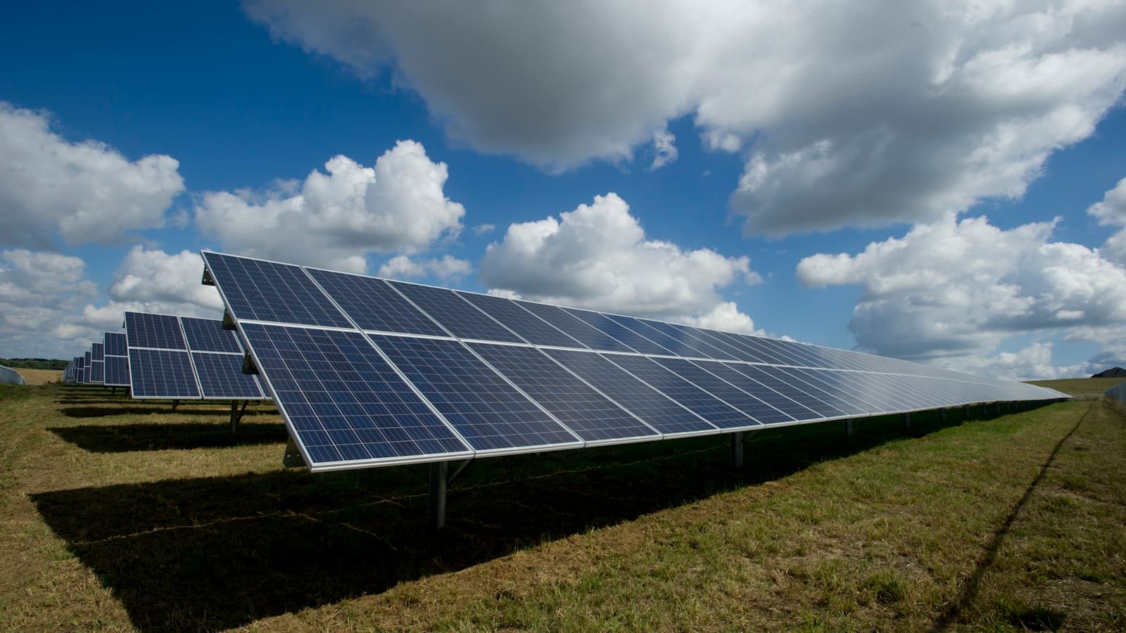 Düzce'nin Güneş Enerji Uzmanı